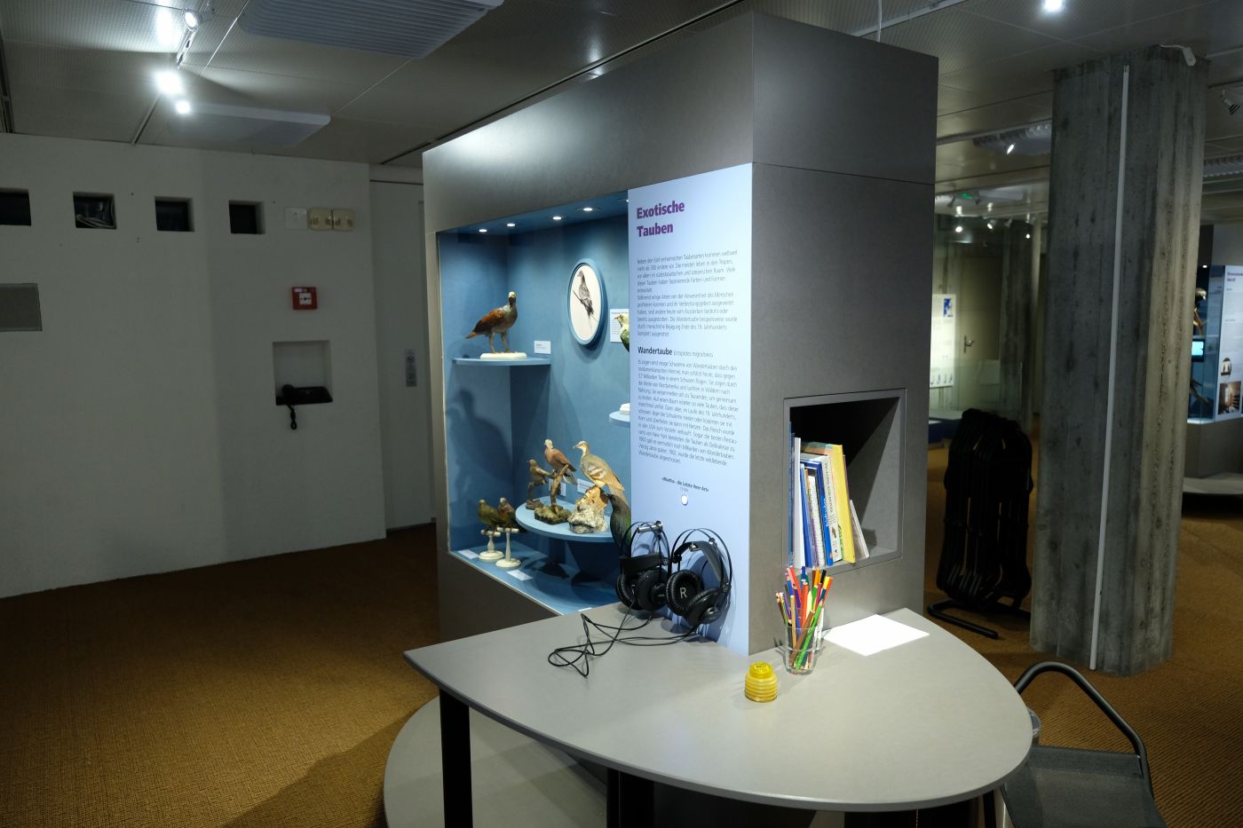 Taubenausstellung im Naturmuseum Solothurn
